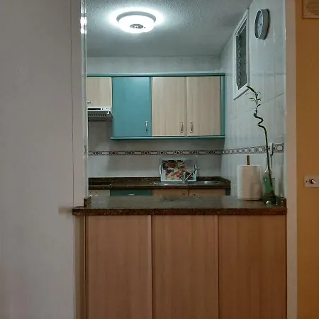 Paraiso * タコロンテ