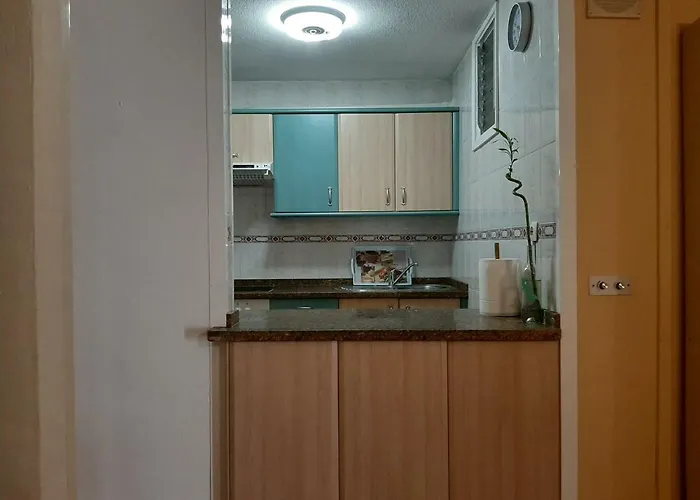 Paraiso * تاكورونتي